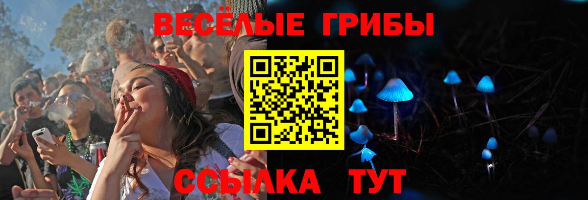 Галлюциногенные грибы Psilocybine cubensis  Вход с VPN  Нефтеюганск 